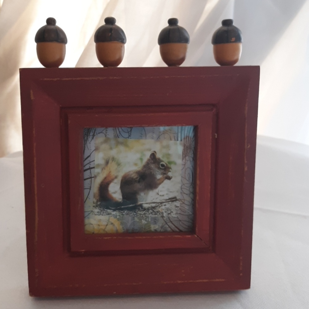 Washed Wood & Acorns Frame